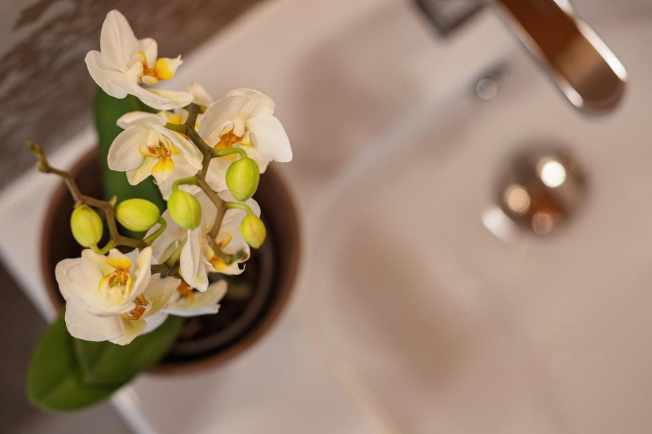 Bed & Breakfast Corte Degli Ostinati