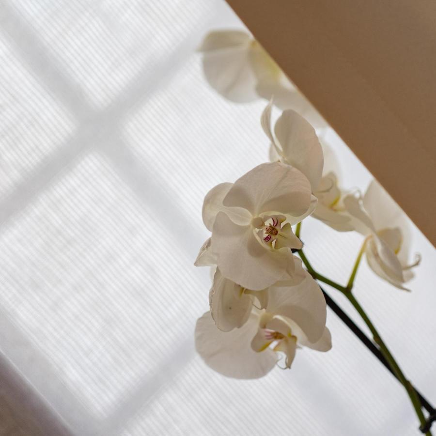 Corte Degli Ostinati Bed & Breakfast *